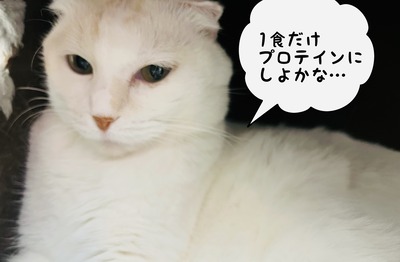 06D3EDF3-ABE1-4916-A067-76CB9A46F4B9