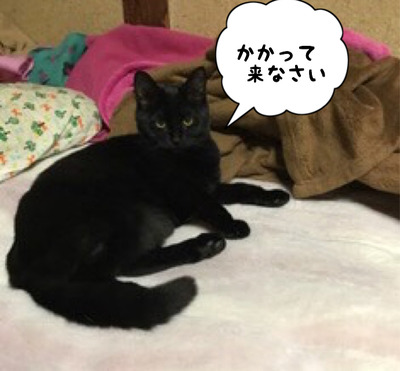EC2B5393-279B-4BB2-9F4D-6CEA11DAAE71