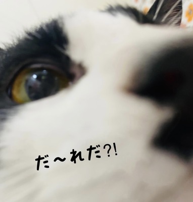 894F8772-11B6-4F87-9CB0-187718500A96