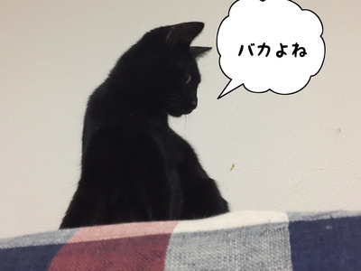 2F40D835-4C53-4CD0-BA3F-E74B7FFE14B0