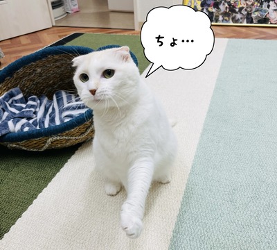 75C5557A-1372-409D-9BBC-B1CD4A170262