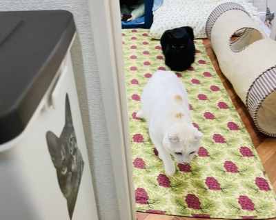 F30DEF71-8E54-40C8-88CF-28C273266E42