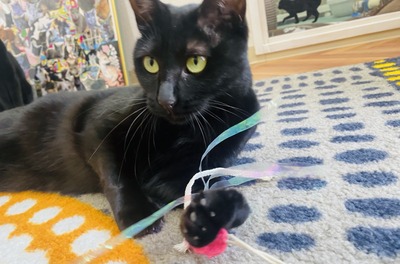 AEF4B2EE-68A6-4CDB-8832-FF5F261A0BED