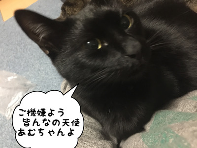 8252C3C1-FD27-48BA-8388-54042E9A86F6