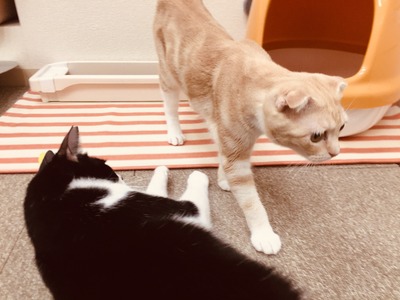 4A839B19-63BE-475C-B7C0-B45A4107B4F3