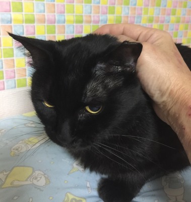 F50F9608-8DEF-4709-8AFC-FB7251CC8597