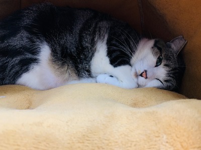 FF9F207E-EEBD-486E-857C-8315323B3266