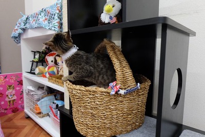 5CB210A0-C29B-4792-B38E-52593CB8E3D3
