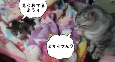 26F1E953-CEB2-4E50-A52D-02355C027C89