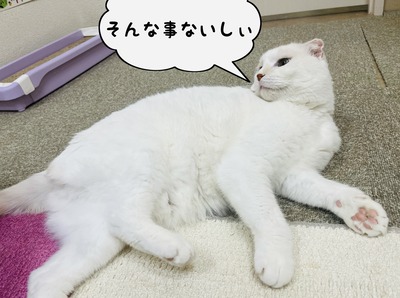 phonto