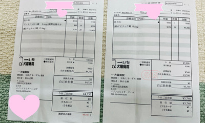 A3142890-BEB1-4C85-9C80-DB3EBDAC7146