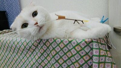 195180BE-9B88-4536-A0B6-255D2558DB8A