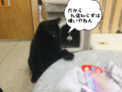 4B0C58BB-6F46-44C6-9C81-3A603C060D86