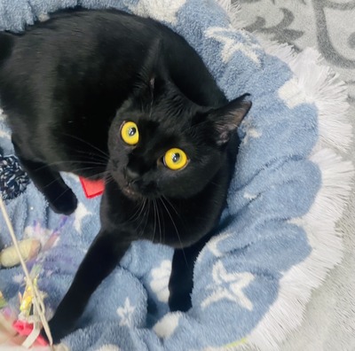 789590EB-9BE6-4B10-8DBC-8053A63A4ACA