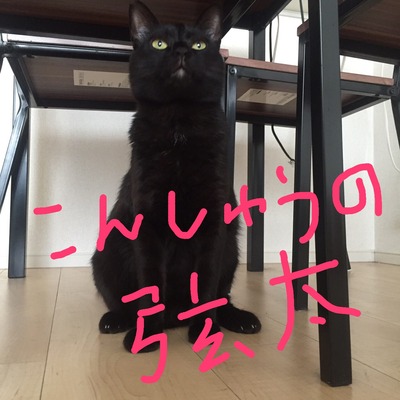93885DDF-FED8-4515-A763-7184D31E81DA