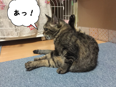 E511159C-62A9-4749-8D83-A3DACD97C822