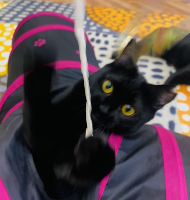 2A61E70D-1536-478D-B9BB-48A712816E8F