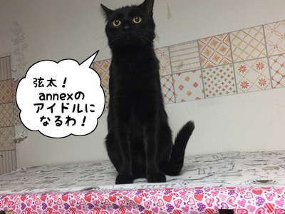 F7DD704A-A241-4135-AD68-C69F1D70CE9F