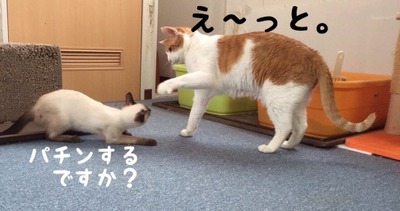 453A8306-2F8E-4B3E-932D-46D034B7F966
