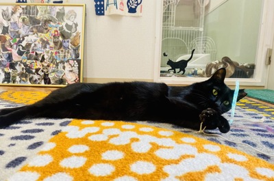 10F05ADF-9D98-4674-8C95-1E64FEA81937