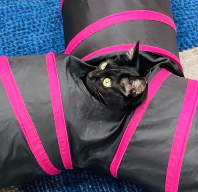 B4A982F0-1AC2-469A-843E-A6766EF19E9E