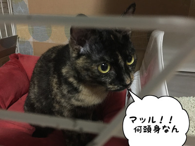 D6FED87E-D829-46AF-AC12-4E0D59FE66CA