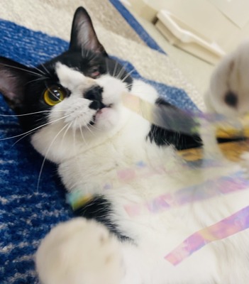 B0D6E6CE-382B-4447-8DCE-BC3EACA5770E