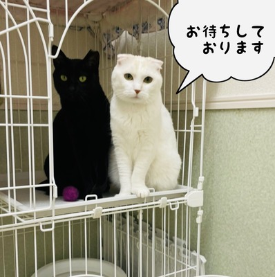 61BD38C6-075F-40B4-B266-22756854F913