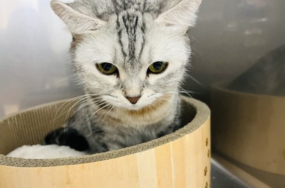 IMG_5516
