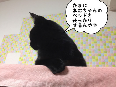 EA995F46-5222-40FD-A1C5-EAABBBF3DDCA