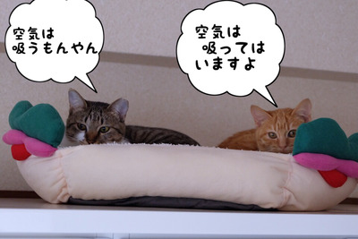 1EA0B623-BCBE-4F34-A1B3-05CCF8EE2E90