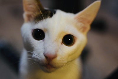 1A24A0F6-F9CA-4BEB-A347-82DA4483E1C3