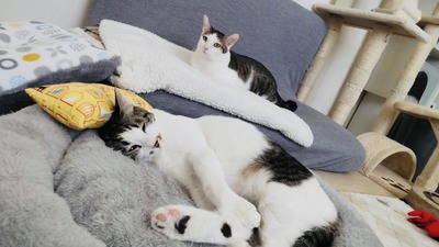 E03180B2-2FC5-4E73-B16A-98EC1B9DB5BD