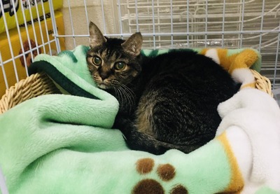 634A07C3-D50D-45C7-8A98-51A3D875AAAD