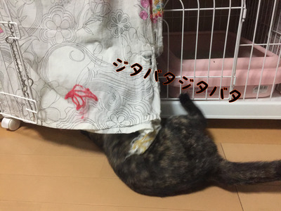 ACC6C50A-EDA1-4A10-824F-63744E0D8F79