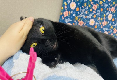 B3C1CBA2-0DD5-4F3E-B8E9-E32A02F15CE1