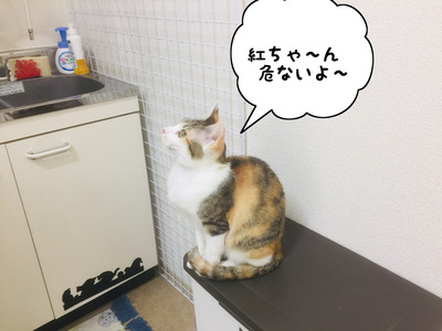 22AB3997-37F0-464E-9A13-6A6BCEB44BAD