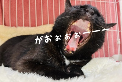 6884ABE2-F8FB-417C-A1F2-ABC97FC55F61