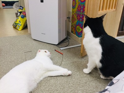 EBFC99BB-016E-4C63-A7C0-14920D9C979D