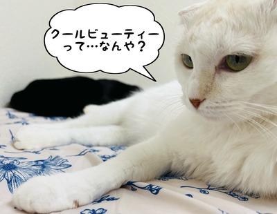 F3ADF5CE-7274-4C61-923B-E982BFF99AC0