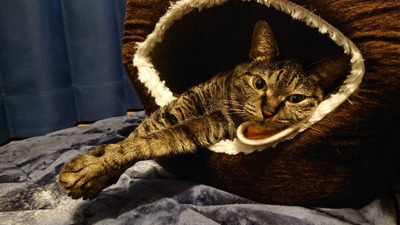 IMG_3066