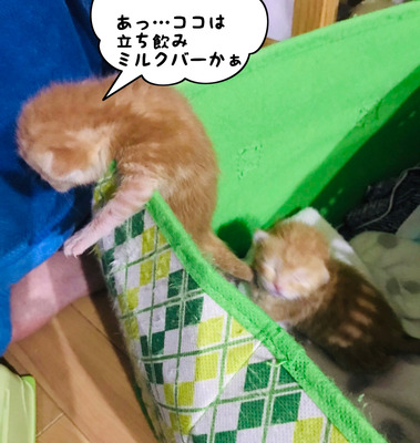 729A5BDC-96CC-43D7-9761-3F7549862A8A