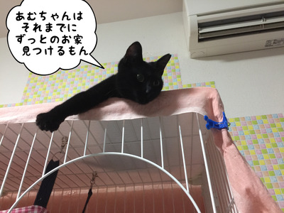 70D5036B-B012-457A-B5DE-584EC6C34934