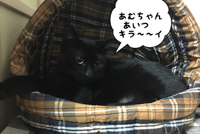 75746746-2C4C-40C0-940B-90ACB3DAC88F