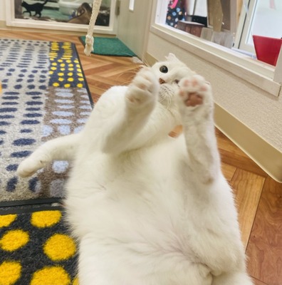 A21F3FAB-9A6B-4D7B-B79F-0E08E339E0D1