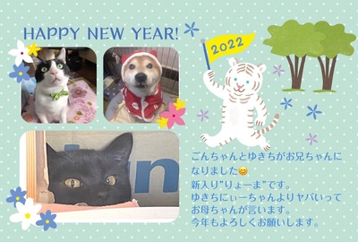 EB68572B-B561-4F9D-BD10-CBEC62BC5339