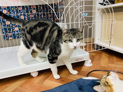 4DBAD86C-51D1-469A-B1B6-B1F981818680