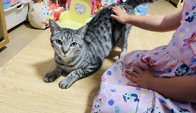 IMG_1539