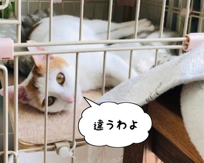 0B13E709-9E23-4711-AF43-733CCFB6A520
