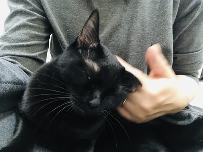 B7A1F49F-0FBF-416D-A822-00A549B8B52A